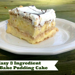 easy-3-ingredient-no-bake-pudding-cake-1673933.jpg
