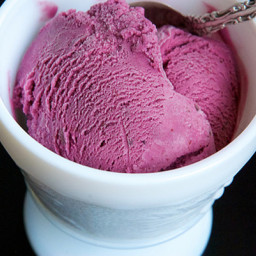 Easy Berry Ice Cream
