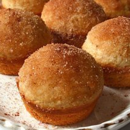 easy-cinnamon-sugar-coffee-cake-muffins-moist-delicious-and-freezer-f...-1655435.jpg