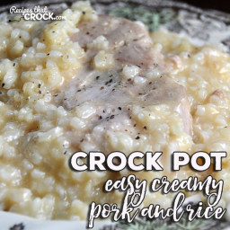 Easy Crock Pot Creamy Pork and Rice