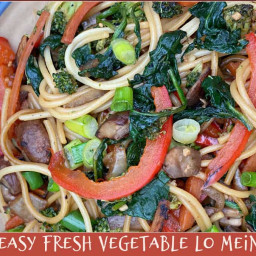 easy-fresh-vegetable-lo-mein-2803767.jpg