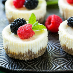 Easy Healthy Cheesecake Bites