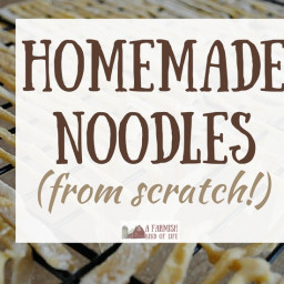 Easy Homemade Noodles From Scratch