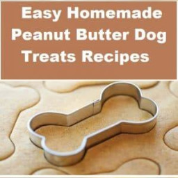 Easy Homemade Peanut Butter Dog Treats Recipes