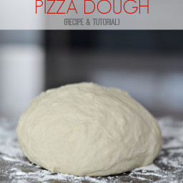 easy-homemade-pizza-dough-reci-f68da9-33fa9478d523430a04d69706.jpg
