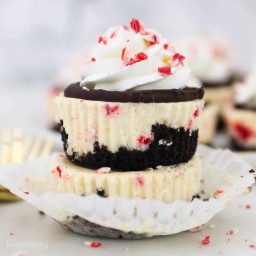 Easy Mini Peppermint Bark Cheesecakes are perfect for the holidays!