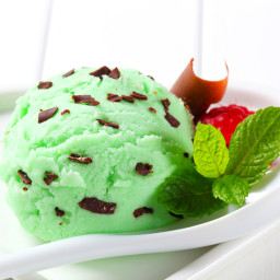 Easy Mint Chip Ice Cream
