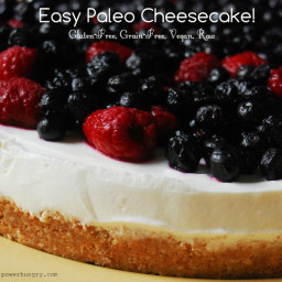 Easy Paleo Cheesecake {Gluten-Free, Grain-Free, Vegan, Raw}