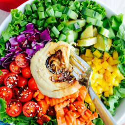 Easy Rainbow Salad with Hummus Balsamic Dressing