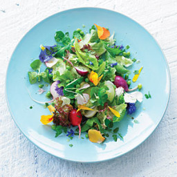Eat-your-garden salad