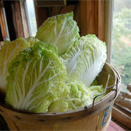 Eating for Two: Asian Cabbage Salad Recipe