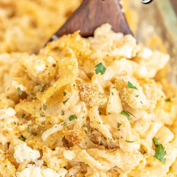 Egg Noodle Mac and Cheese