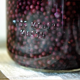 Elderberry Liqueur Recipe