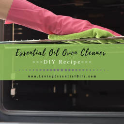 Essential Oil Oven Cleaner Recipe