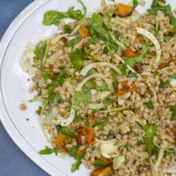 Farro Salad with Fennel and Roasted Butternut Squash