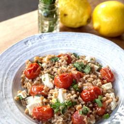 Farro Salad with Roasted Tomatoes