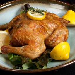 fast-roast-chicken-with-lemon-herbs-2.jpg