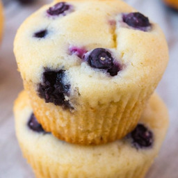 fat-free-flourless-blueberry-muffins-sugar-free-vegan-gluten-free-2880318.jpg