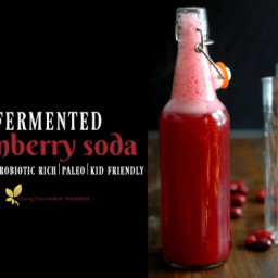 Fermented Cranberry Soda :: A naturally probiotic rich, kid friendly, real 