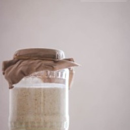 Fermented sourdough oats