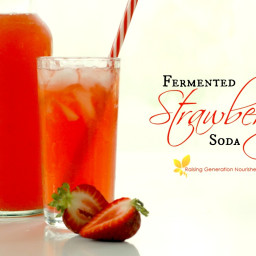 Fermented Strawberry Soda