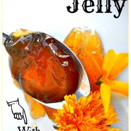 Forsythia Dandelion Jelly