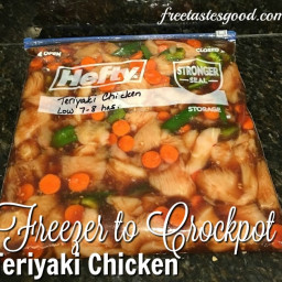 Freezer to Crockpot Teriyaki Chicken