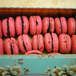 French Macarons Strawberry Flavor