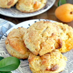 Fresh Apricot Scones with Ginger and White Chocolate Chunks