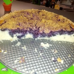 fresh-blueberry-cake-2.jpg