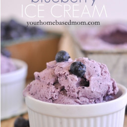 Fresh Blueberry Ice Cream