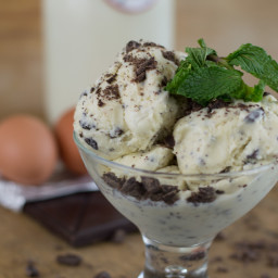 Fresh Mint Ice Cream (with Chocolate Chips)