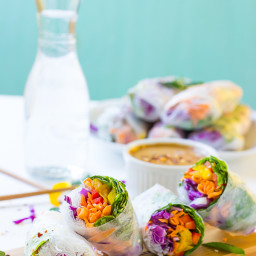 Fresh Spring Rolls with Peanut Ginger Sauce