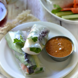 Fresh Vegan Spring Rolls