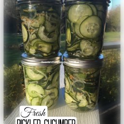 Fresh Pickled Cucumber Salad Recipe