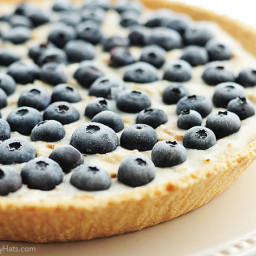 Frozen Blueberry Coconut Yogurt Pie