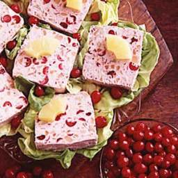 Frozen Cranberry Salad Recipe