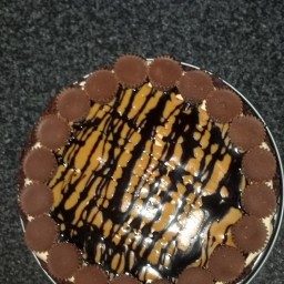 frozen-peanut-butter-cheesecake-4.jpg