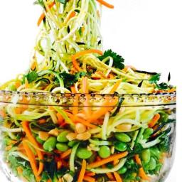 Fully Raw Asian Noodle Salad
