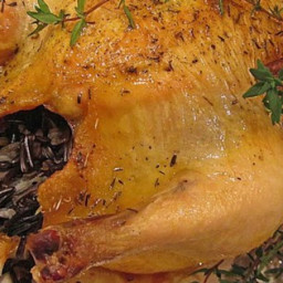 Game Hen Stuffed with Wild Rice and Mushrooms Recipe