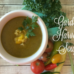 Garden Harvest Soup