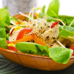 Garden Salad with Lemon and Oil Dressing