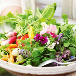 Garden salad with vinaigrette