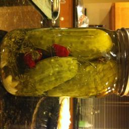 garlic-dill-pickles.jpg