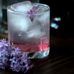 Gin & Tonic with Lilac Syrup