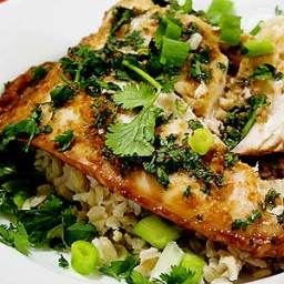 Ginger and Cilantro Baked Tilapia