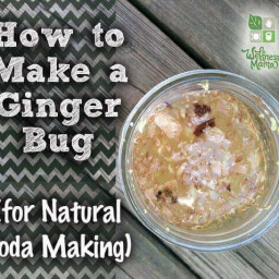 Ginger Bug Recipe