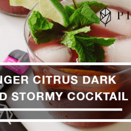 Ginger Citrus Dark and Stormy Cocktail