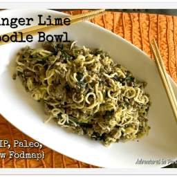 Ginger Lime Noodle Bowl {AIP, Paleo, Low Fodmap, Whole 30}
