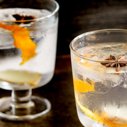 Ginger, Star Anise and Orange Gin and Tonic